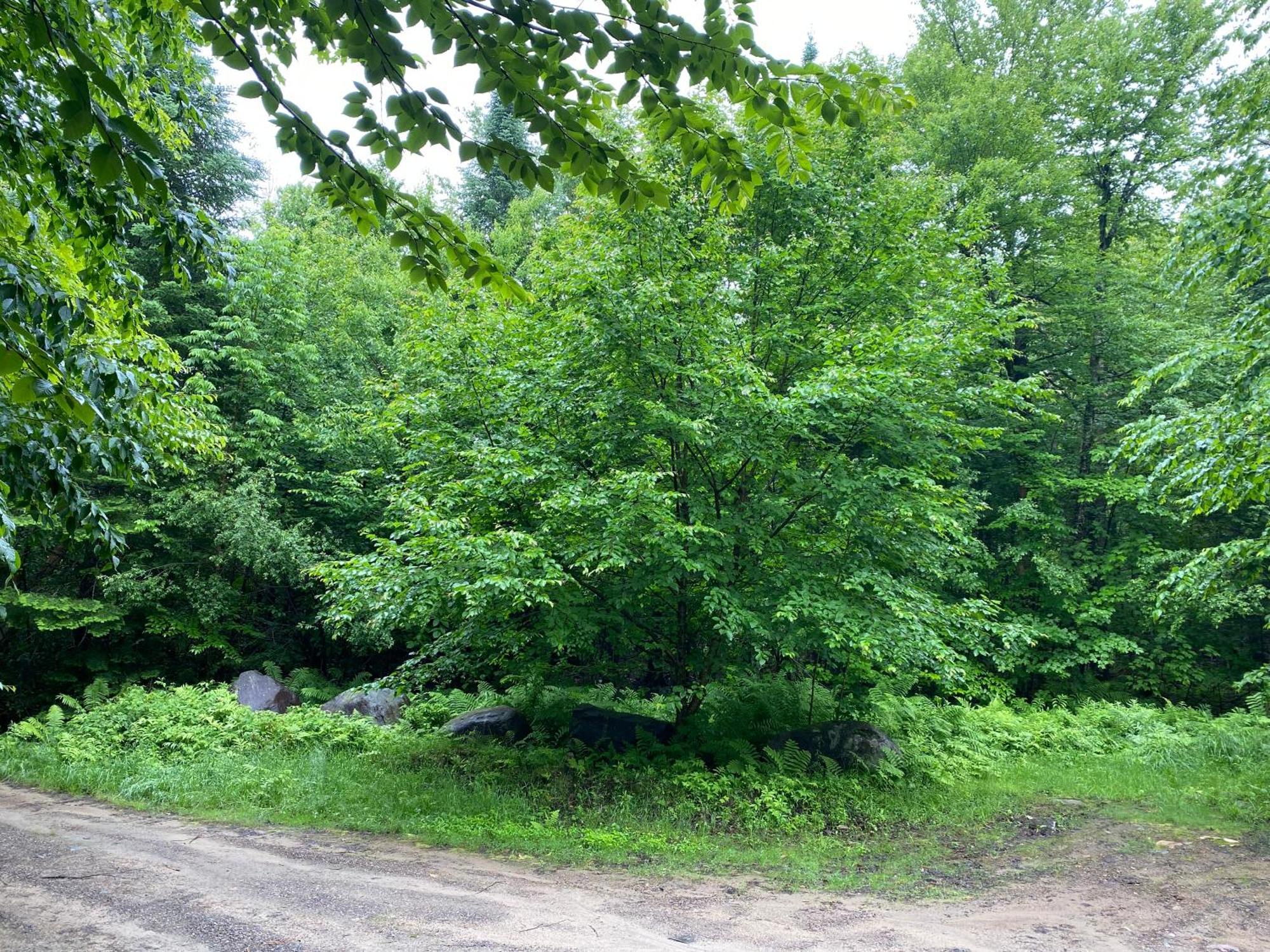 Chalets Et Studios Le Vent Du Nord Lac-Superieur Exteriér fotografie
